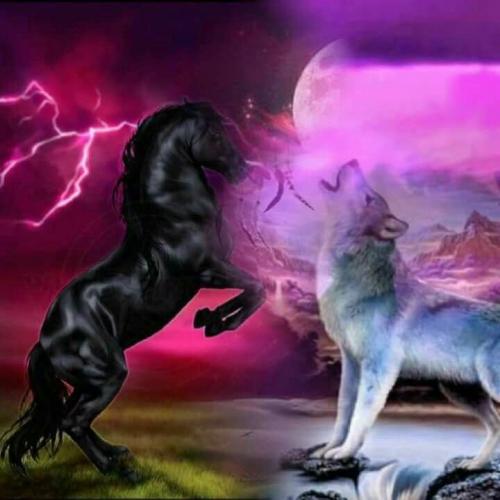 20:19:33 GMT-0500 (CDT)