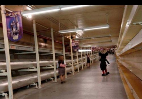 2430C15B-1E83-41F0-91ED-0C9F5F1CB1DC