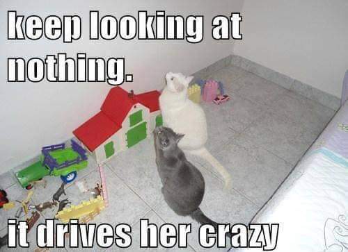 10:29:18 GMT-0400 (EDT)