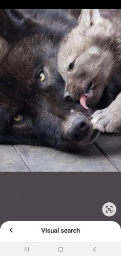 07:07:16 GMT-0500 (CDT)