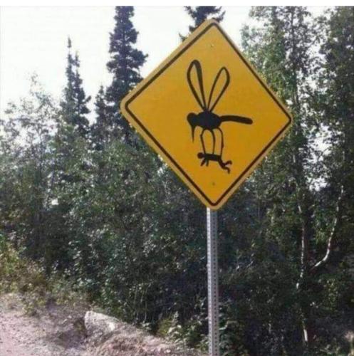 07:45:37 GMT-0500 (CDT)