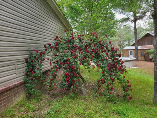 18:10:53 GMT-0500 (CDT)