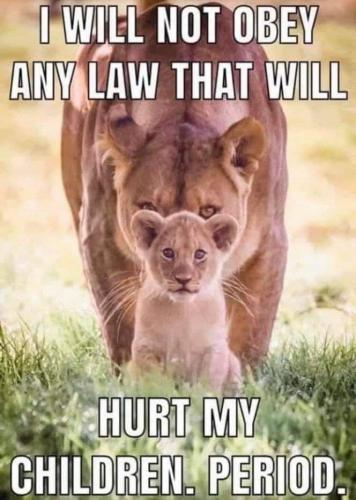 BD4E5BD2-C484-4E6A-BA2F-15064BA82D30