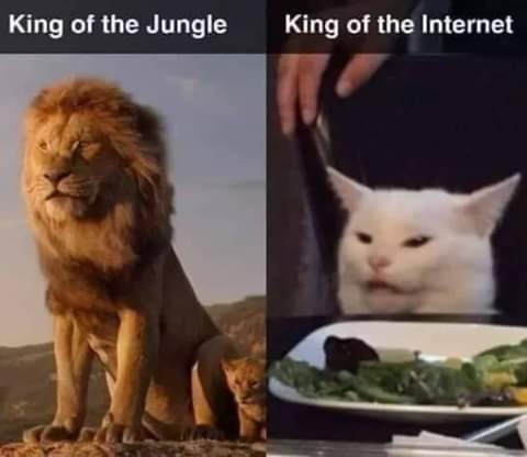 22:46:44 GMT-0700 (PDT)