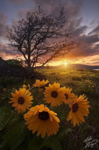 11:30:50 GMT-0500 (CDT)