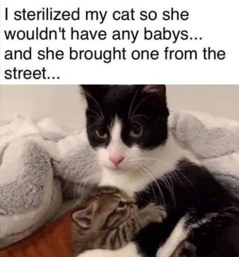 15:00:00 GMT-0700 (PDT)