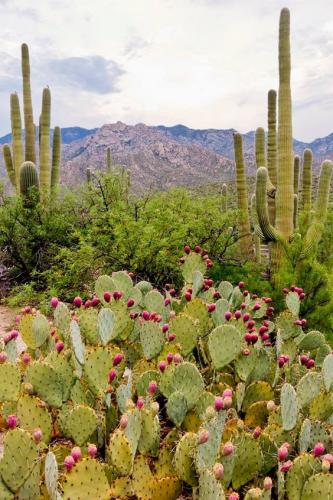 923a0c17e5cbfb43f07a02869e93b6a9