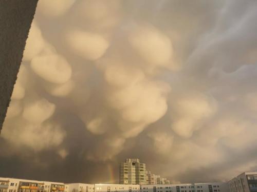 FBCDD6B5-18DA-4CC0-9051-CDA479490005