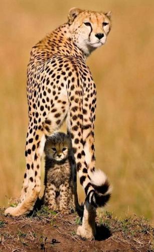 18:48:35 GMT-0500 (CDT)