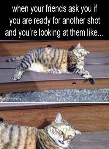 ready for another shot