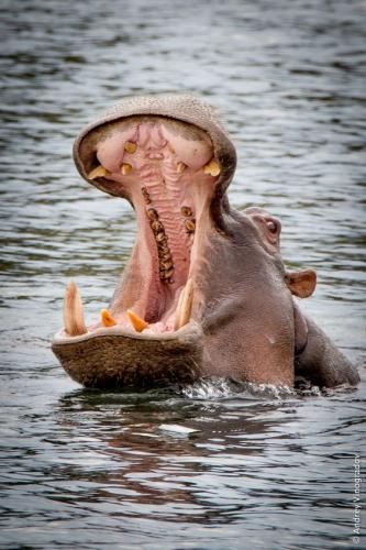 5e8f4e72bf56e21ed125f2815249497f