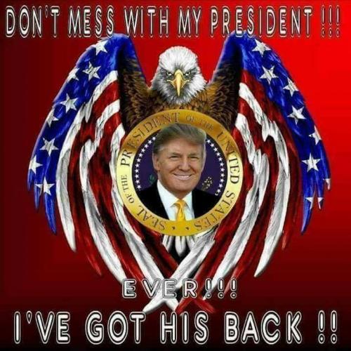 18881912_1722072971424811_8472409066985363440_n