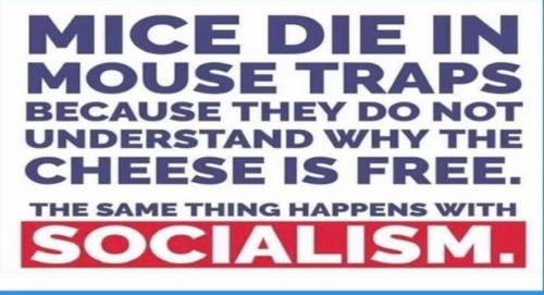 84539906_2554865664837313_588667702193684480_n