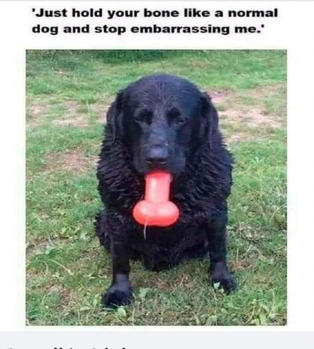 23:25:47 GMT-0400 (EDT)