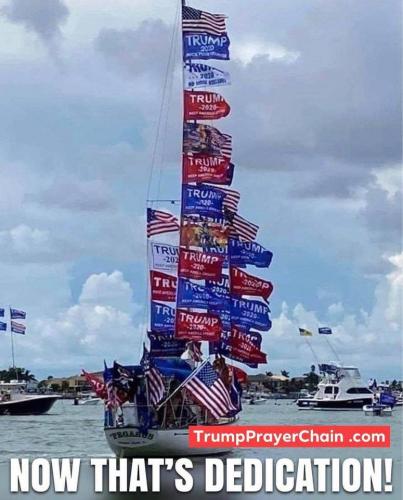 119121434_3551848031502419_3146441566157693102_n