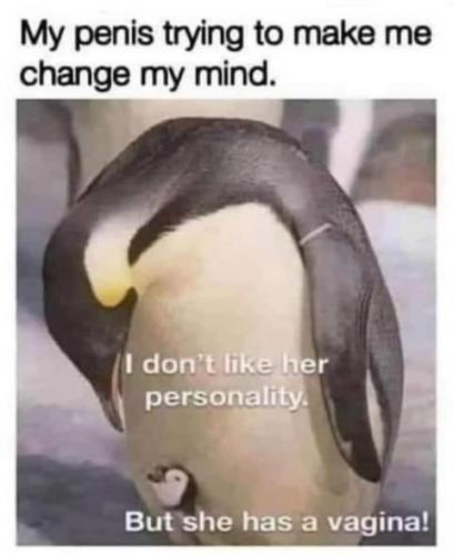 20:08:02 GMT-0700 (PDT)