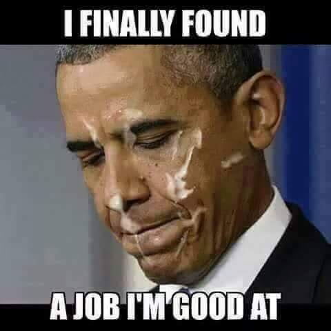 13709930_1672661993057299_875412758188280440_n