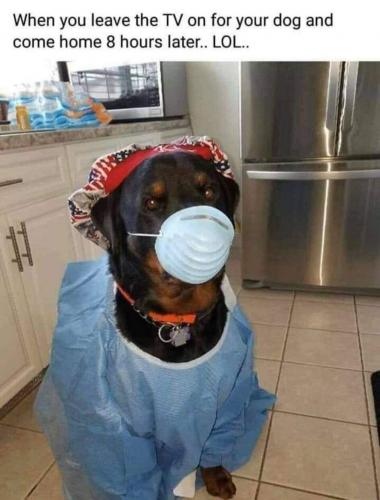 17:58:39 GMT-0400 (EDT)