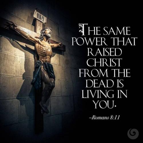 71835301_234004114233279_1044871440383344640_n