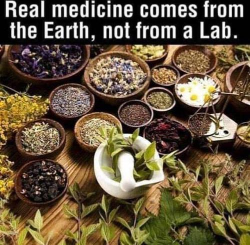 MEDICINE