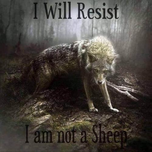 13:10:23 GMT-0700 (PDT).image