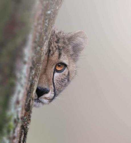 21:43:58 GMT-0500 (CDT)