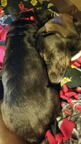 14:07:42 GMT-0400 (EDT)