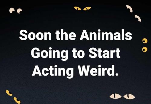 03:40:10 GMT-0500 (CDT)