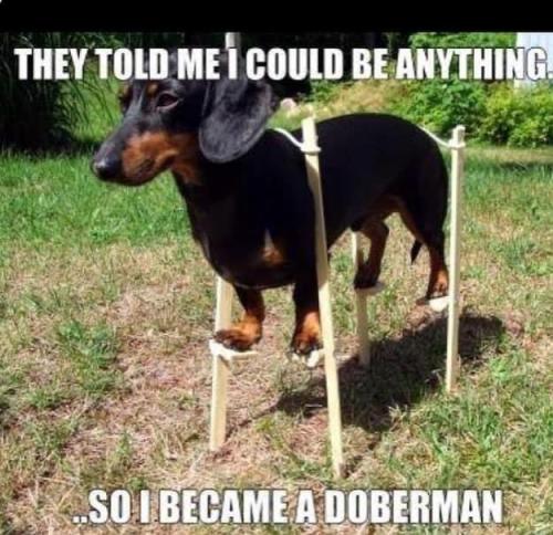 6B067C94-2C8D-45AC-BB80-D794089F1BCD