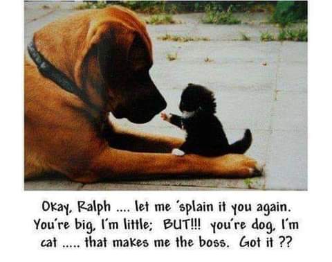 14:37:44 GMT-0700 (PDT)