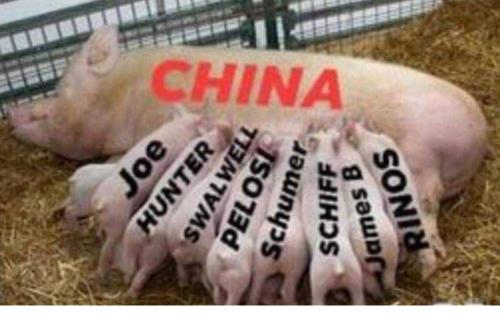 china hog