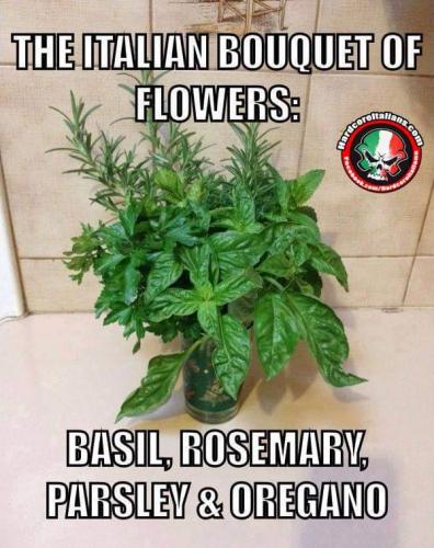 16:29:32 GMT-0400 (EDT)