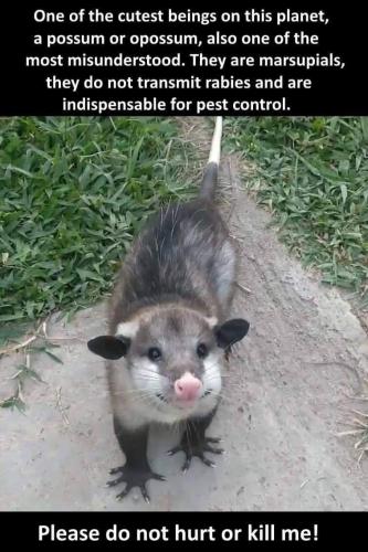 12:58:25 GMT-0400 (EDT)