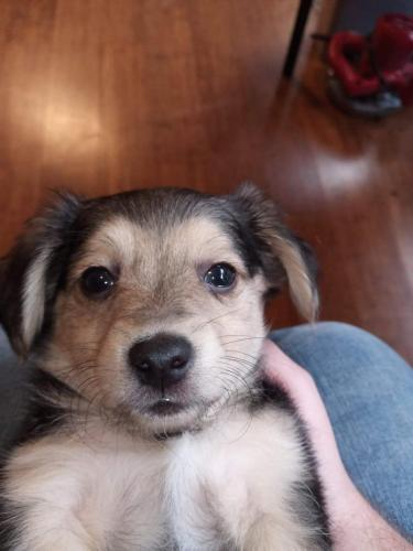 16:05:16 GMT-0400 (EDT)