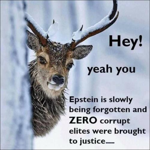 epstein117