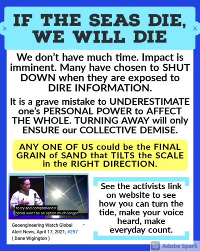 19:55:21 GMT-0400 (EDT)