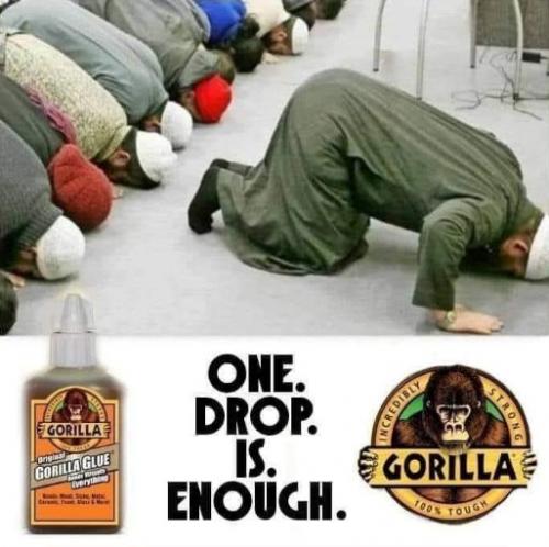 gorillaglue05