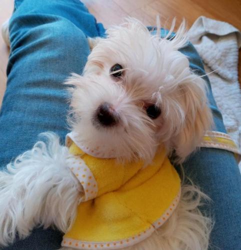 !cid_20210426_104134