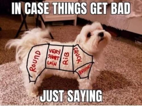 04:30:28 GMT-0400 (EDT)