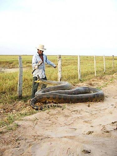 13177301_10204599644311238_4918233224747522458_n