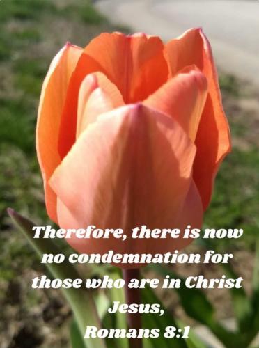 10:08:15 GMT-0500 (CDT)