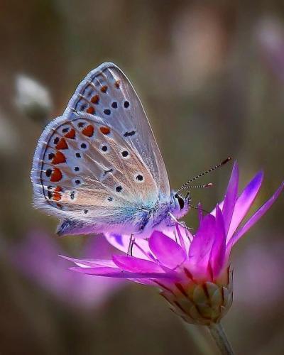 170150819_146257320780155_8472739530483620566_n