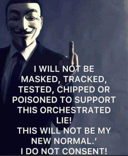 FB_IMG_1619528948321