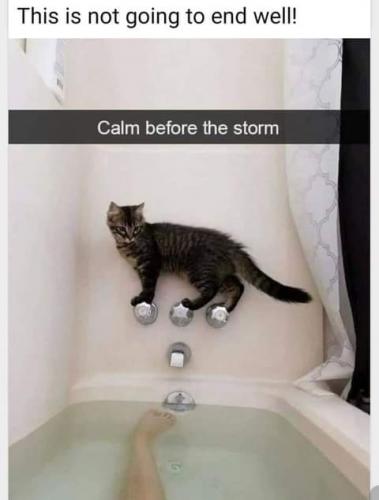 22:53:50 GMT-0700 (PDT)