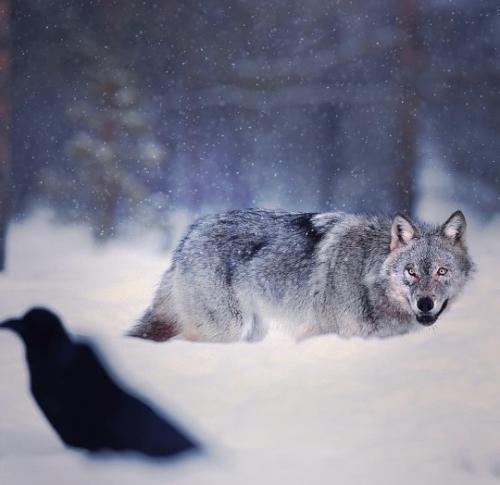 tumblr_3234dd96d313ab2e67affa2de38aec2a_e1c3e593_540