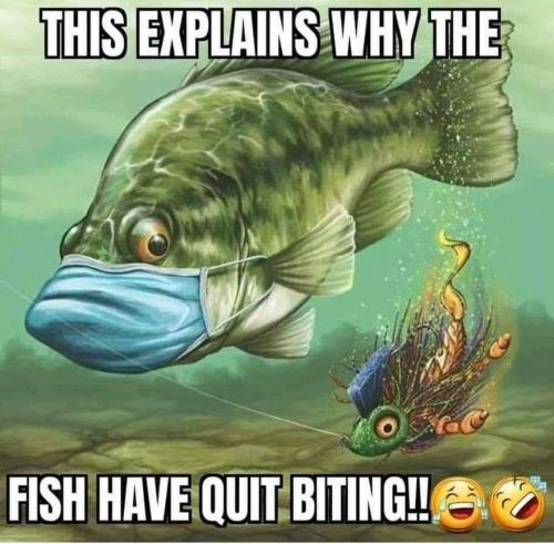 106708887_1324886664386901_8629132680587644914_n