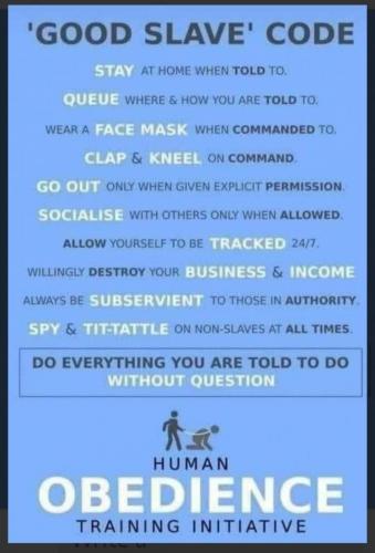 10:46:10 GMT-0400 (EDT).image