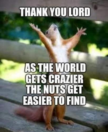 19:49:42 GMT-0700 (PDT)