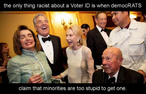 voter id01