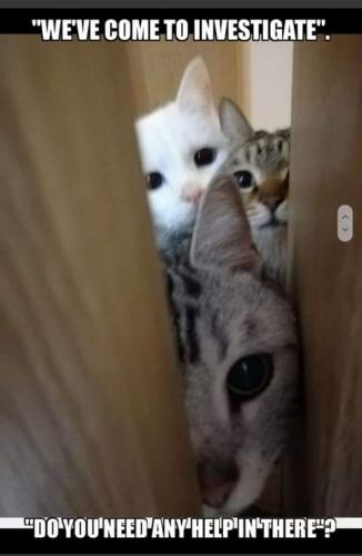 19:45:35 GMT-0700 (PDT)